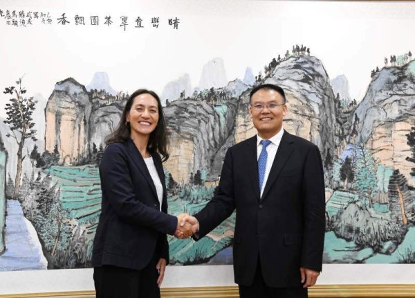 策略赢 财政部副部长王东伟会见巴西公共事务管理与创新部常务副部长克里斯蒂娜·莫莉