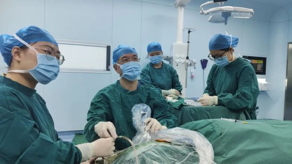 上升浪 安徽理工大学第一附属医院：让孩子告别“呼噜娃”_大皖新闻 | 安徽网