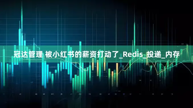 冠达管理 被小红书的薪资打动了_Redis_投递_内存