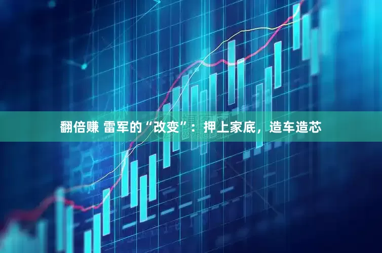 翻倍赚 雷军的“改变”：押上家底，造车造芯